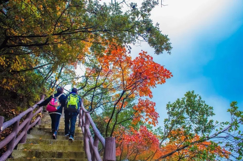 Hiking a mountain on the Double Ninth Festival.jpg