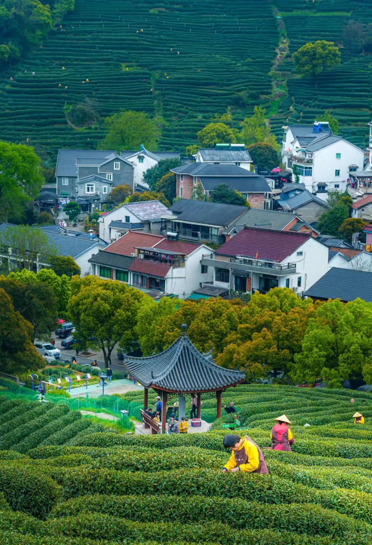 1773797956145299.jpg 5832266ba52070f2712747280c790c6c.jpg