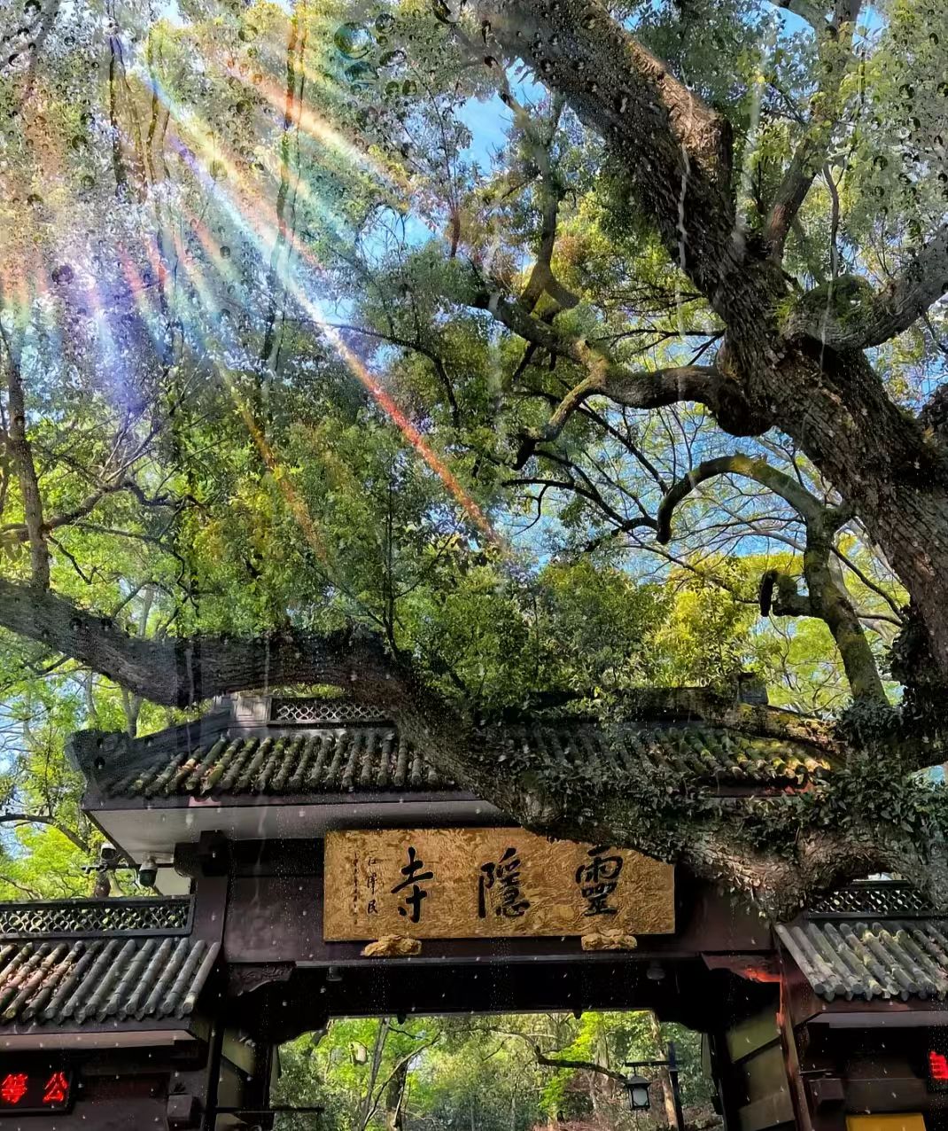 1773798014174254.jpg 2dbffcd33d8a637afe06e801797350aa.jpg