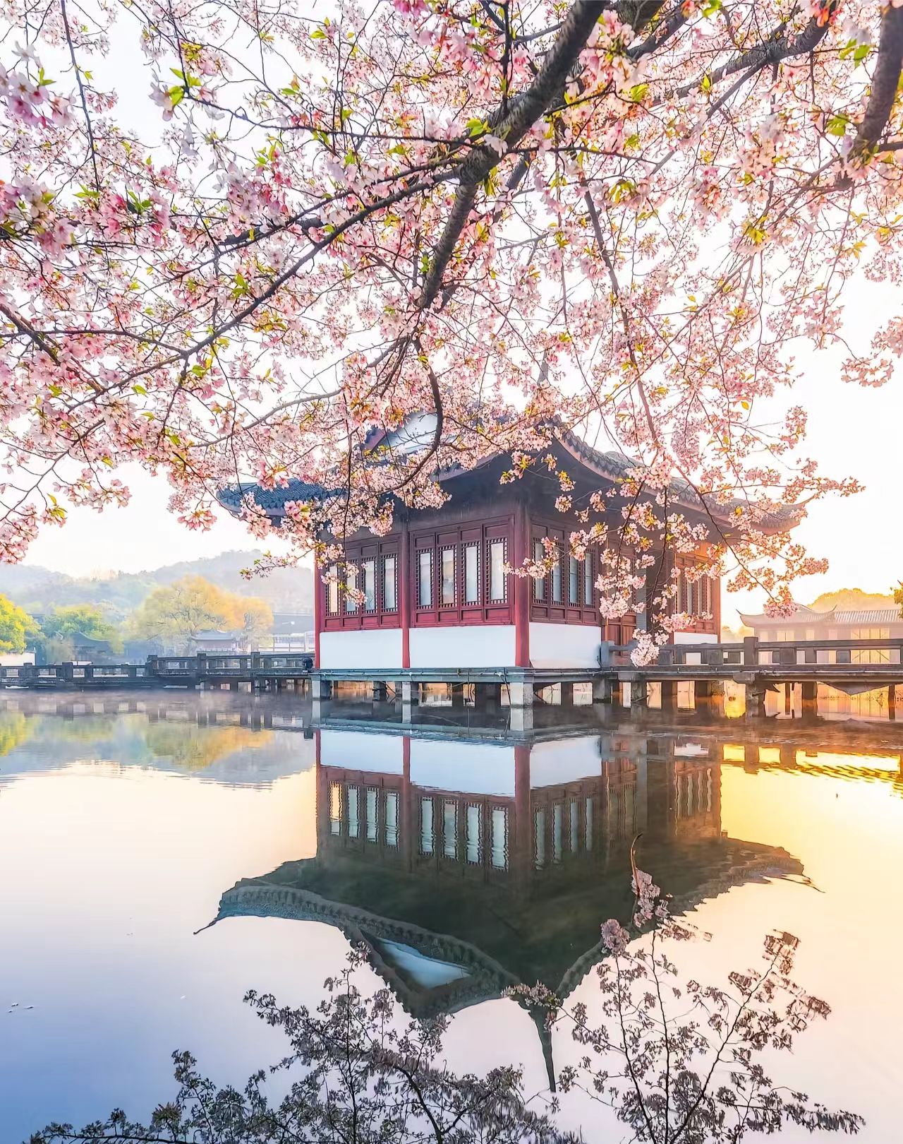 1773798807484079.jpg 1e460d8c6e0ce030cb22f3b1043848c9.jpg