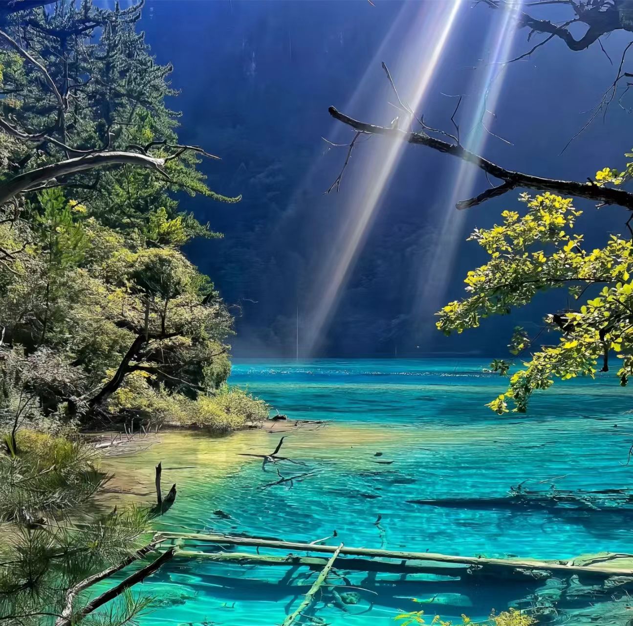 1776066373648603.jpg 195aa299acd08facacb47441143caec6.jpg