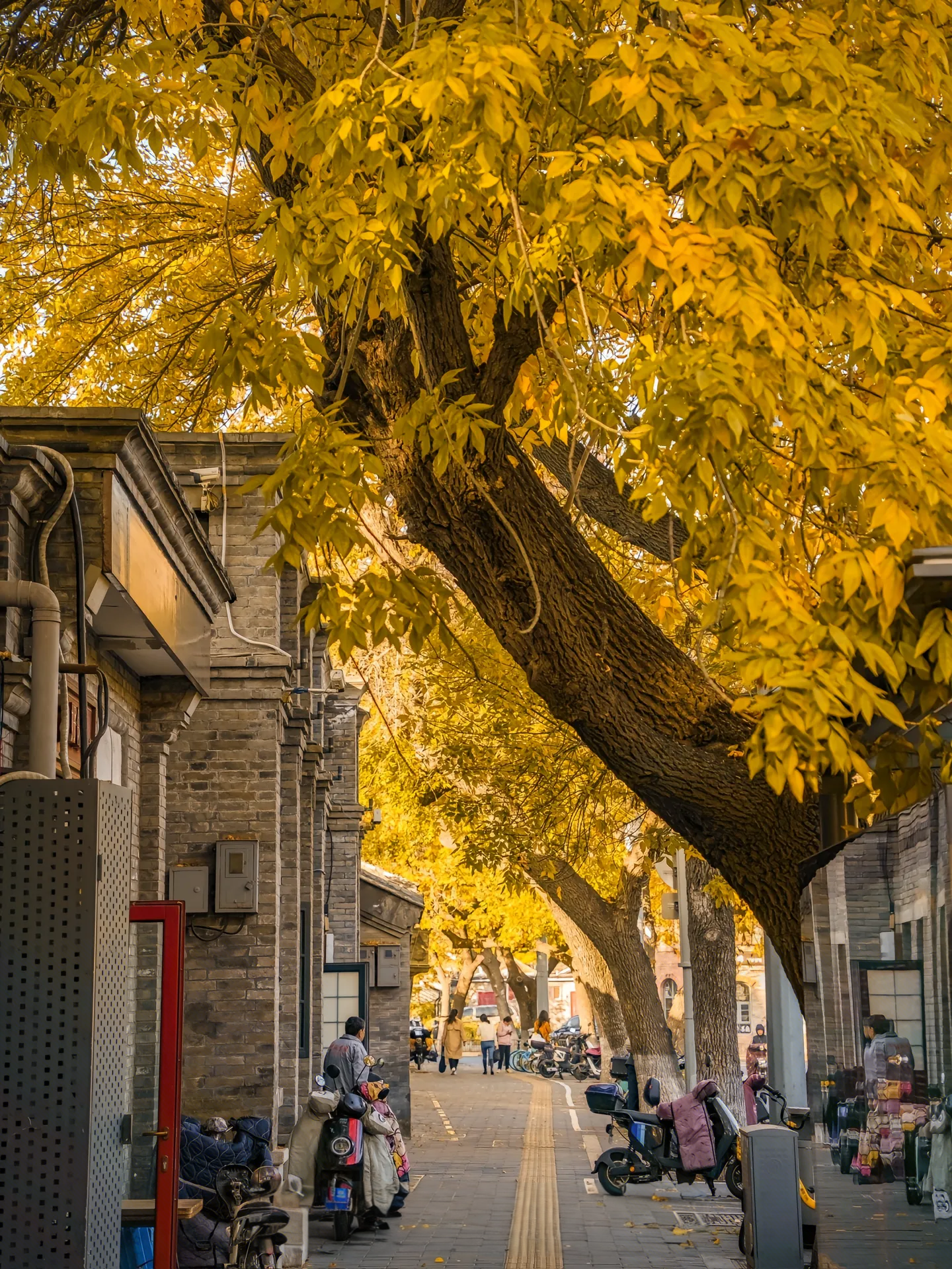 The Ultimate Beijing Hutong Tour Guide: Explore Old Beijing’s Cultural Heart