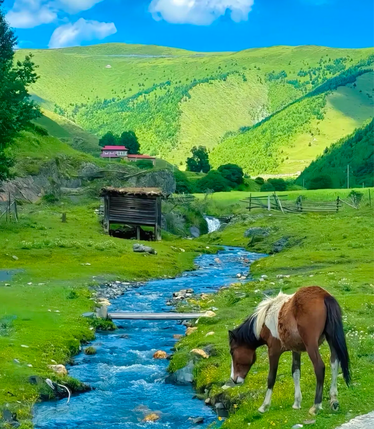 Discover China: History, Culture & Landscapes — Why You Should Travel to China