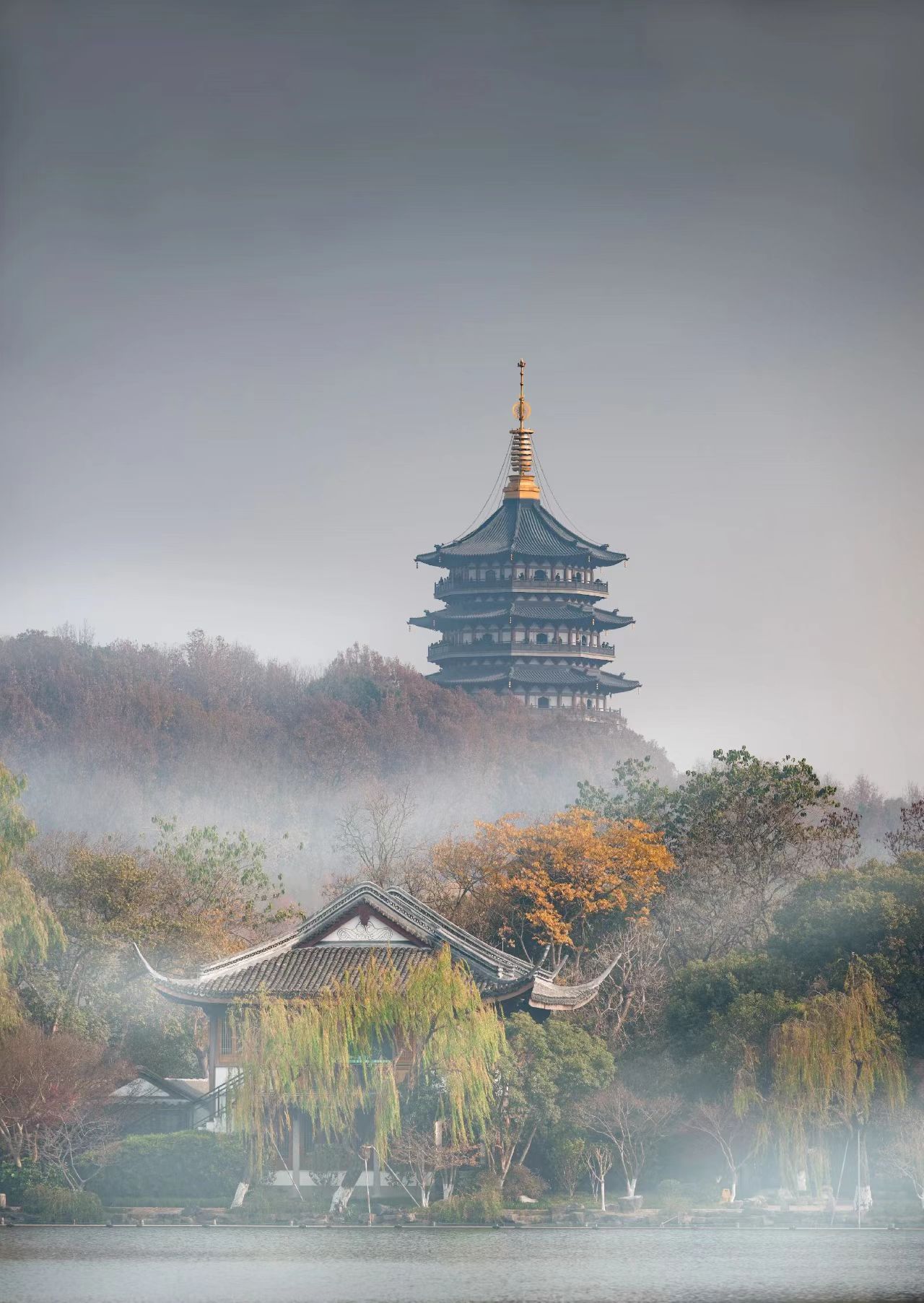 Hangzhou's Soul: A Tea Master's Guide to Longjing Village and West Lake at Dawn