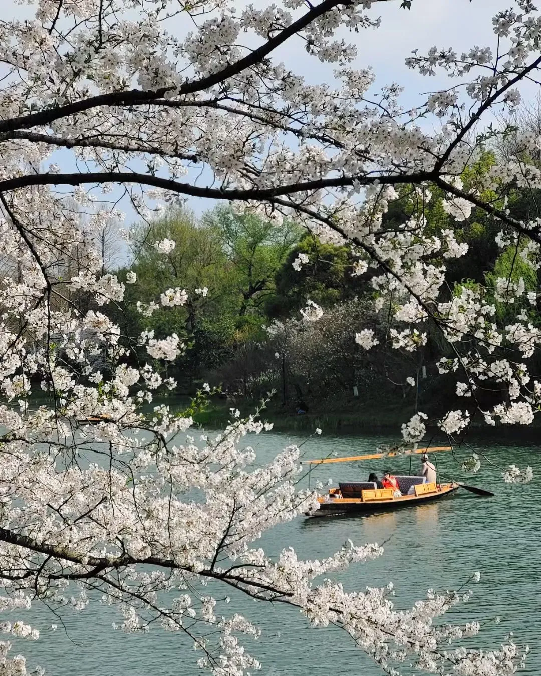 Hangzhou Travel Guide for First-Time Visitors (West Lake, Longjing Tea & Culture)
