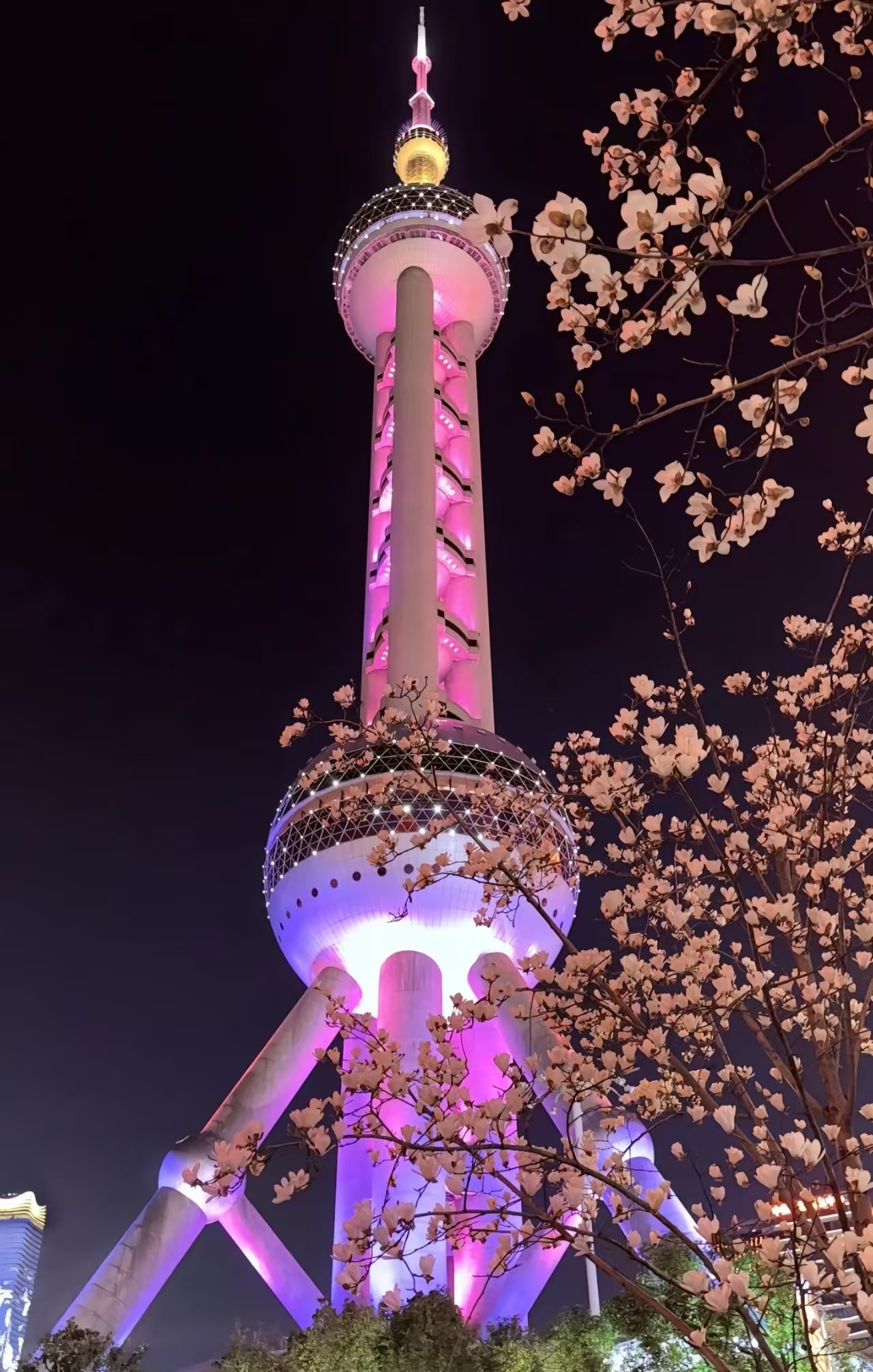 Shanghai Travel Guide for First-Time Visitors (Top Attractions, Food & Travel Tips)